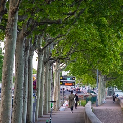 On the banks of the rive Rhône