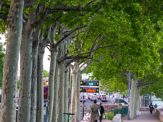 On the banks of the rive Rhône