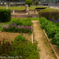Reconstructed Roman herb garden, MUSÉE Gallo-Romain St Romain en Gal