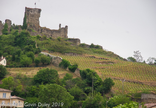 View of the vineyards above Vienne from Saint-Romain-en-Gal