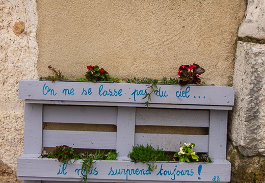 Vienne scene