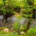 River scene, Beaujolais