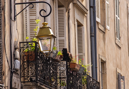 Centre-ville de Dijon