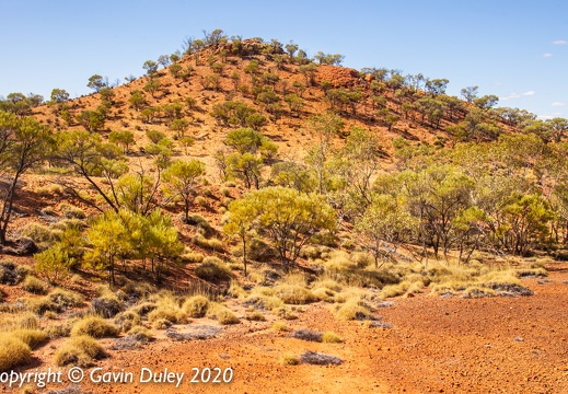 Midday sun, Lark Quarry Conservation Park