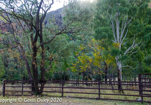 Near Springsure