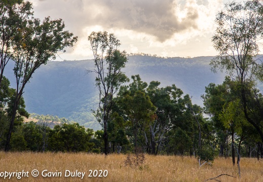 Arcturus Road, Near Springsure