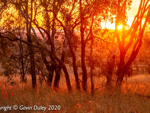Sunset near Springsure