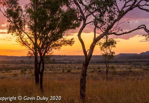 Sunset near Springsure