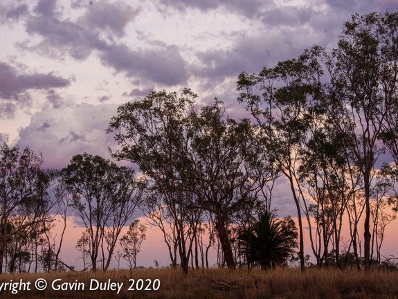 Sunset near Springsure