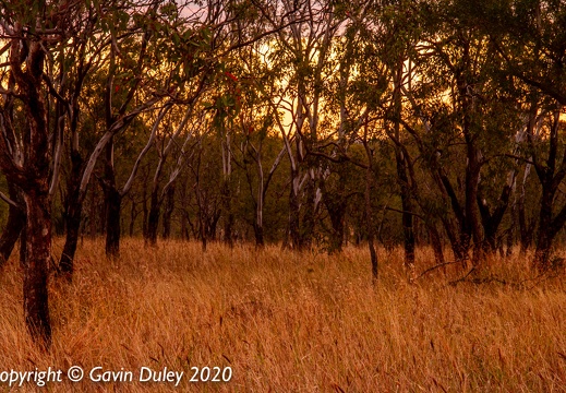 Sunset near Springsure