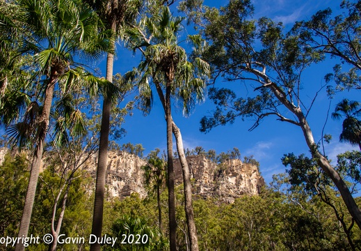 Carnarvon Gorge