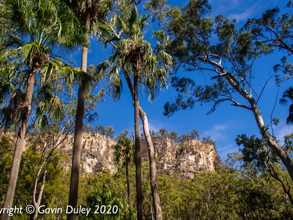 Carnarvon Gorge