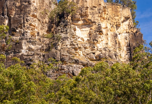 Carnarvon Gorge