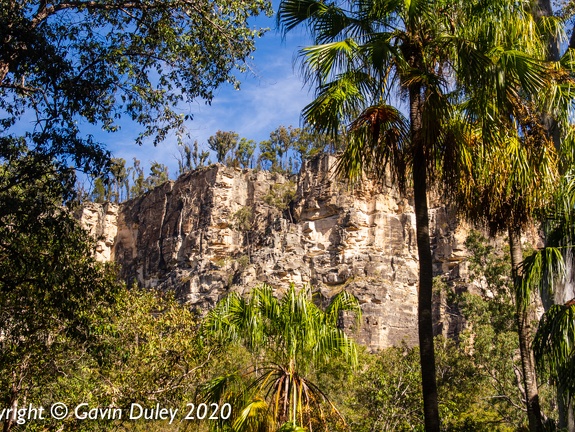 Carnarvon Gorge