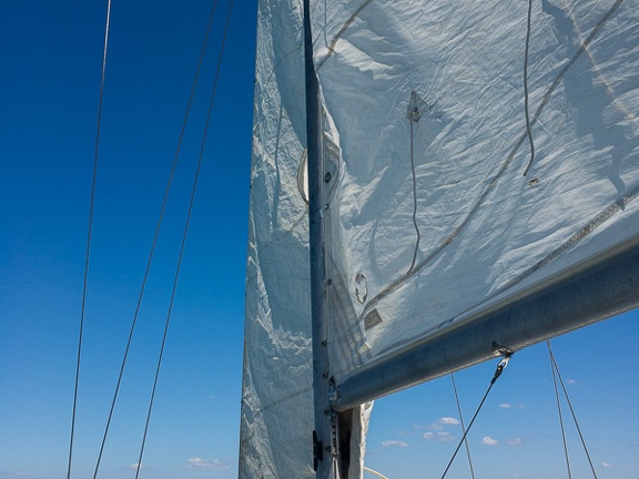 Moreton Bay